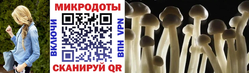 Купить  Николаевск  Псилоцибиновые грибы ЛСД 