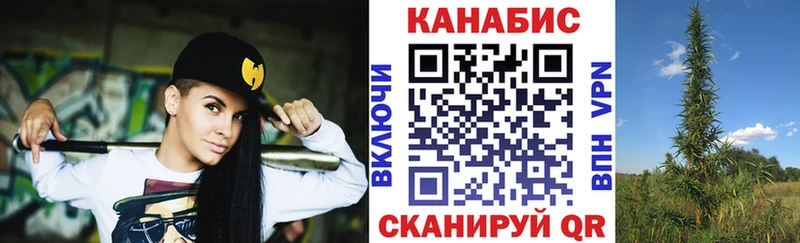 Шишки марихуана сатива  Купить закладки  Николаевск 